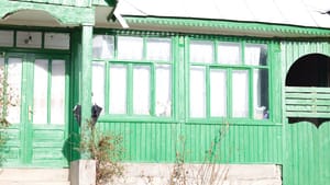 Cum evităm mucegaiul în casele din lemn? Ghidul complet pentru o casă sănătoasă