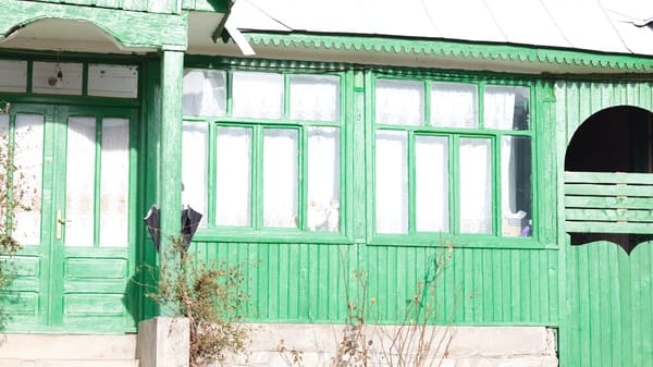 Cum evităm mucegaiul în casele din lemn? Ghidul complet pentru o casă sănătoasă